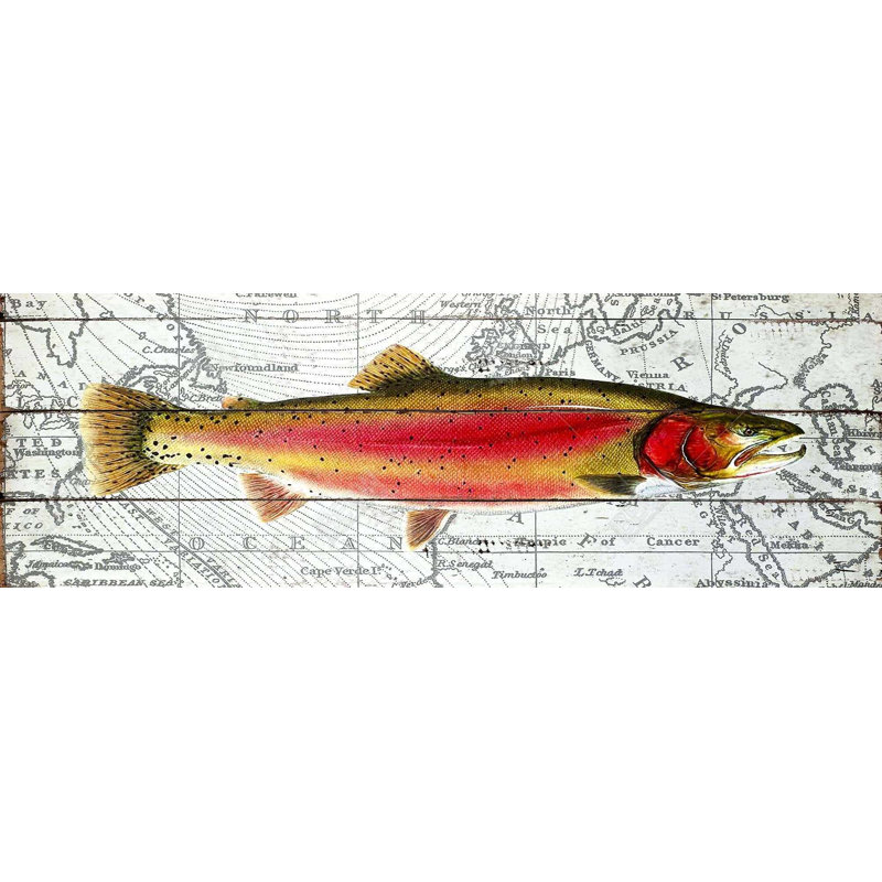 Pink Trout On A Map Print On Canvas