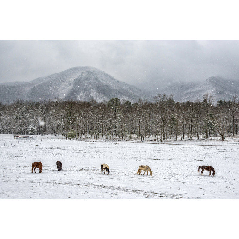 Five horses during snowfall 1 Piece Wrapped Canvas Wall Art, 20cm H x 30cm W x 3.8cm D