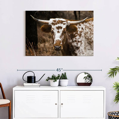 Brampt Longhorn Bull