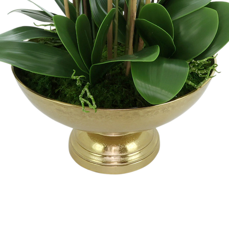 Orchid Arrangement in Round Metal Vase