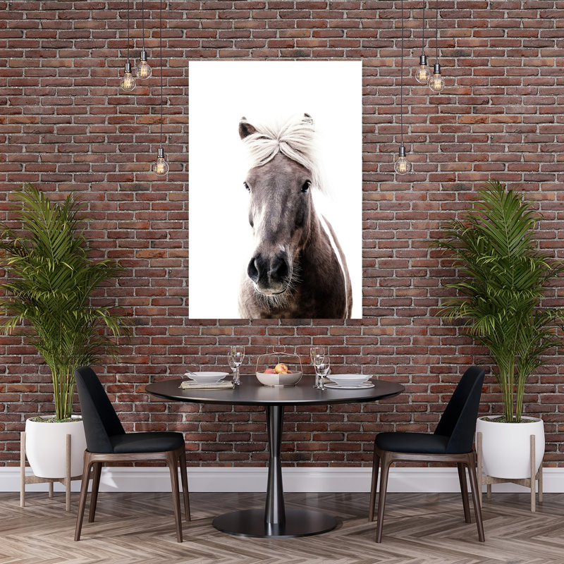Islande, cheval, Lucy, élégant cheval minimaliste pacifique, art mural