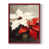Red n'est pas disponible