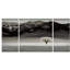 Arbre solitaire - ensemble de 3 impressions sur toile tendue-1738476066
