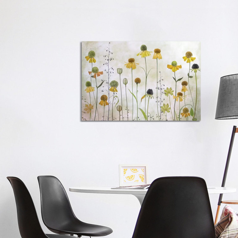Helenium by Mandy Disher - Print on Canvas, Wrapped Canvas, 66.04cm H x 101.6cm W x 3.81cm D