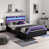 Purple+Black