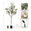 Pot à fleurs festonné Aitkin Eucalyptus-950024860-950024848