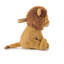 Capteur intelligent Louis The Lion