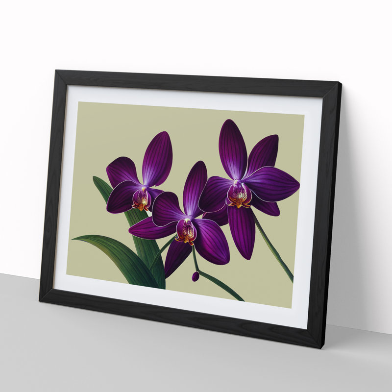 Glorious Orchid Flowers - Framed Print, Black, 46cm H x 64cm W x 2cm D