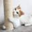  PETMAKER Cat Tree with Interactive Cheese Wheel-70897469