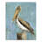 " Painted Pelican "-1437845096