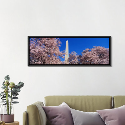 " Cherry Blossoms Washington Monument "