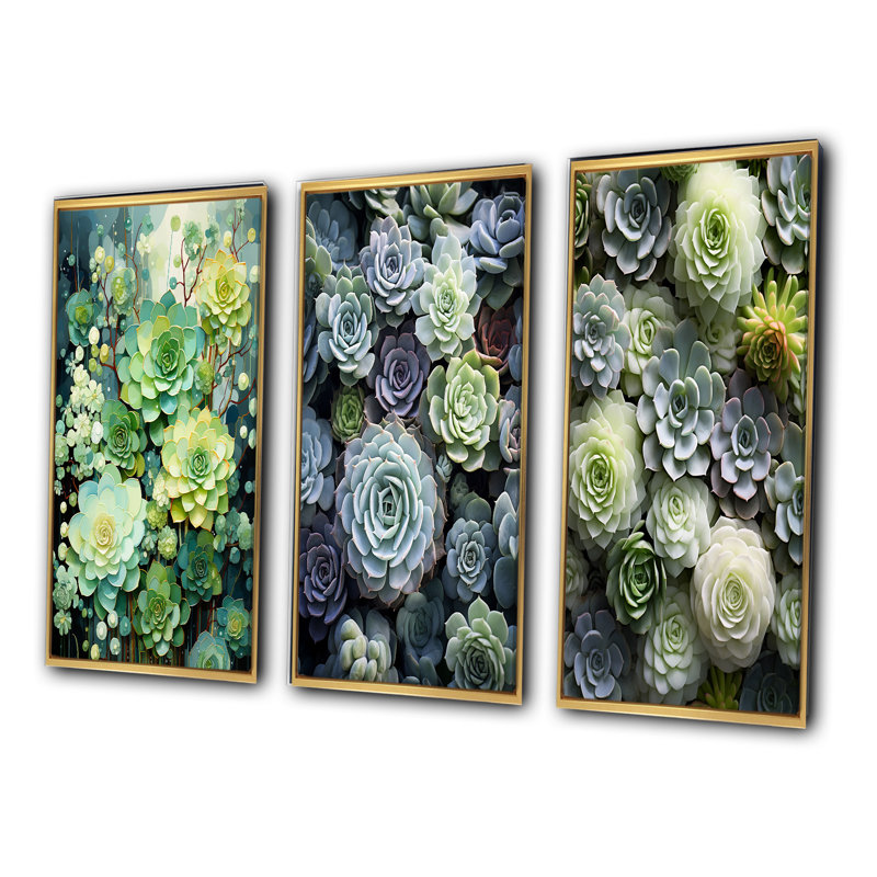 «Green Succulents Flowers Serene Succulents II», 3 pièces sur toile, Encadrement doré, H 20 po x l 36 po