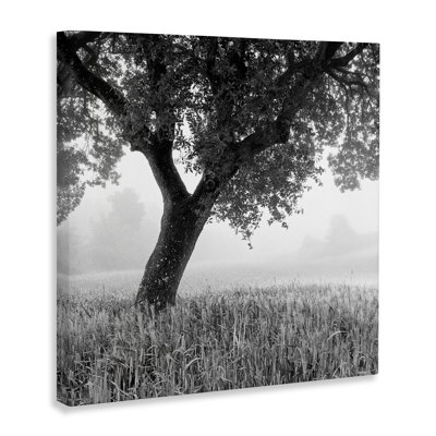 Tuscan Morning Oak in Mist Canvas, design by Chip Forelli