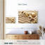 Aletra, coquillages sur les vagues de sable-107718611