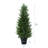 Adcock Artificial UV Resistant Cedar Topiary Trees for Outdoor, Faux Cypress Plant with Solar Light String-1710577912