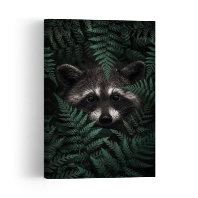 Hidden Forest Raccoon Abstract Fern Forest Landscape Wall Art Print 1 Piece Wrapped Canvas Wall Art