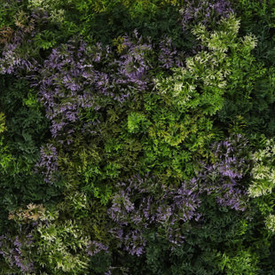 Panneaux de verdure Tamarisk Moss