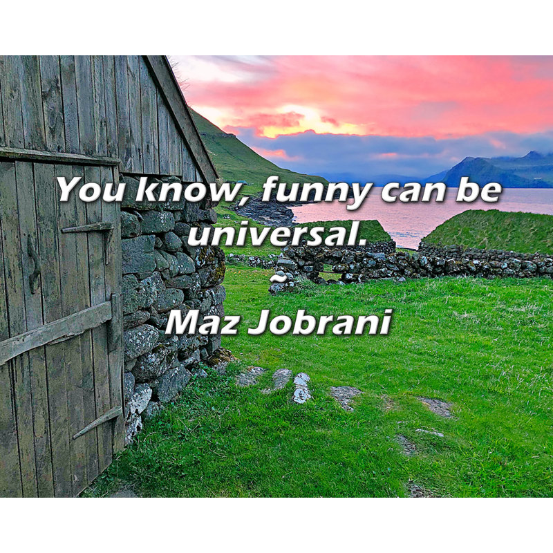 Citation de Maz Jobrani: Vous savez, le plaisir peut être universel., H 15 po x l 18 po