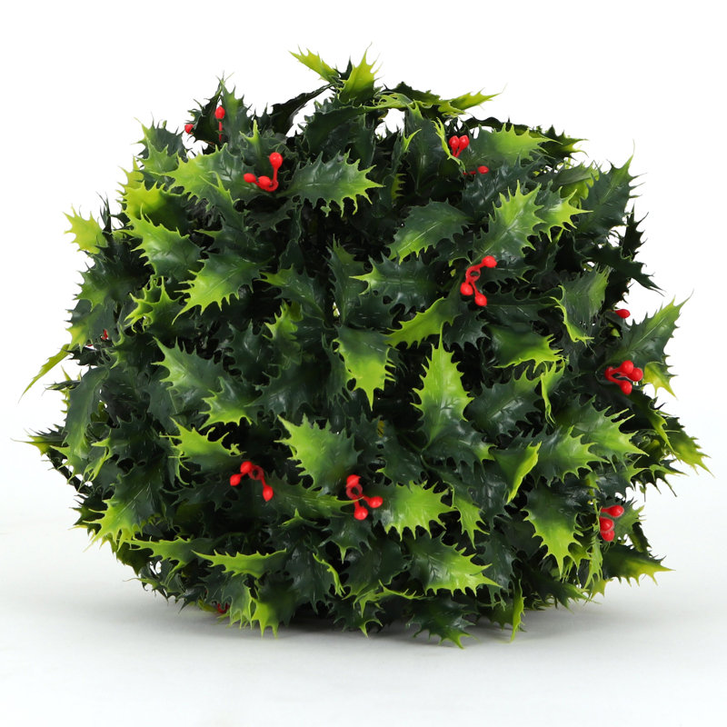 Boule topiaire de houx, H 7 po x l 7 po, Paquet de 36