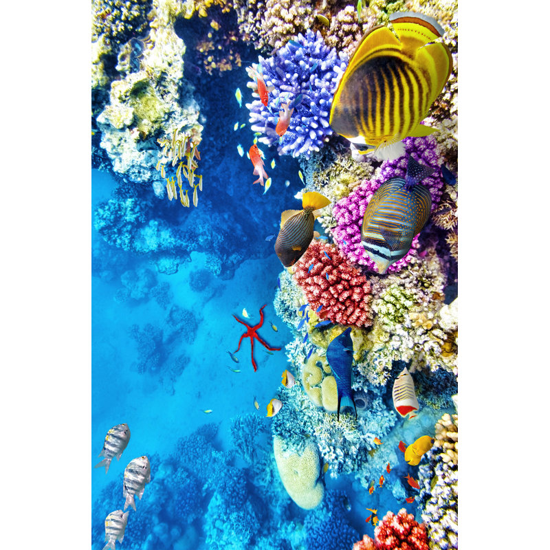 Durable Hall Carpet, 100% Polyester, 31.5 x 78.7 Inches | 650 g/m², 0.3 in Pile Height, Non-Slip PVC Dot Underside | Machine Washable, 3D Digital Printing | Ideal for Entryways & Living Spaces, Easy Care