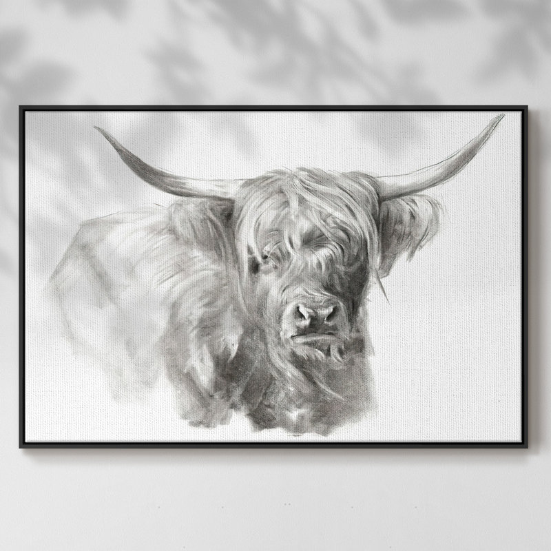 "Soft Focus Highland Catt I", reproduction d'art sur toile, H 27 po x l 41 po x P 2 po, Noir