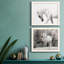 Neutral Stallion - ensemble de 2 photos sur toile tendues-1695509891-1695509919