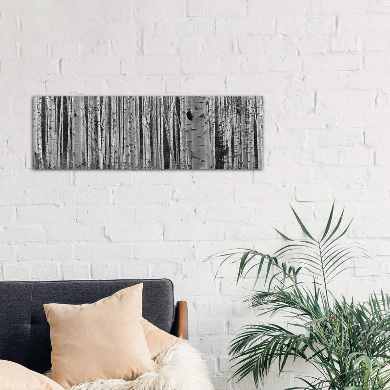 Aspen Trees In Black & White, Alberta, Canada by Panoramic Images - Wrapped Canvas Panoramic Print