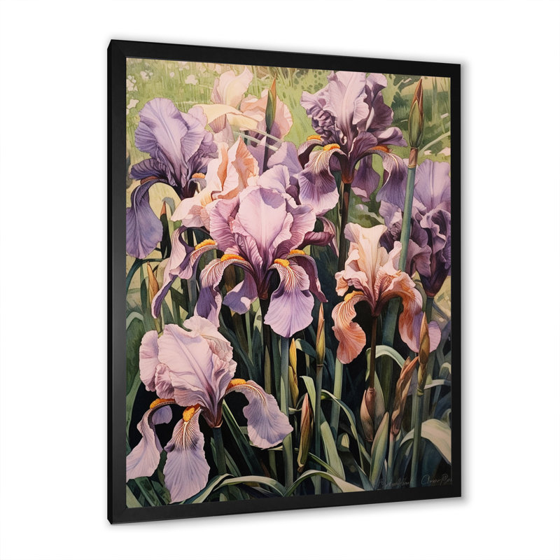 Iris mauve en fleurs dans les prés sauvages sur toile, H 32 po x l 16 po x P 1 po, Cadre simple noir