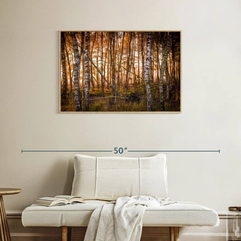 Forêt de bouleaux sombre, Cadre flottant en bois naturel, 37 po x 25 po