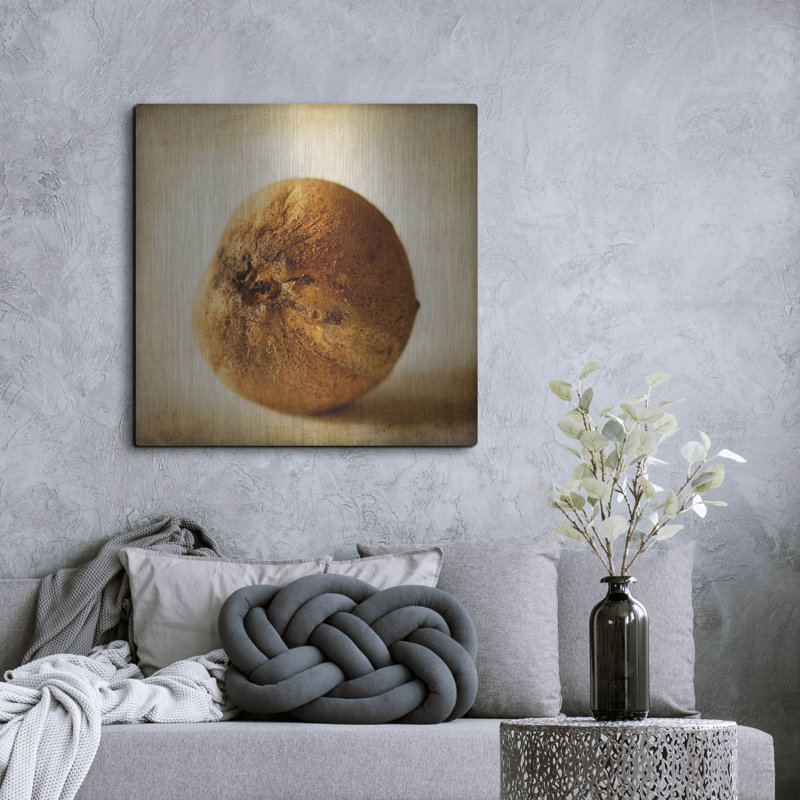 Gracie Oaks «Oak Pods 4» par Jessica Rogers, art mural en métal, H 36 po x l 36 po