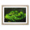 Green Python Snake - Framed Print