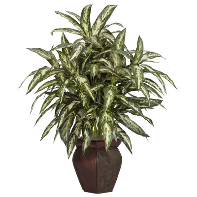 24.25" Aglonema Foliage Plant in Decorative Vase