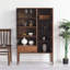 Armoire de rangement multifonctionnelle avec porte vitrée