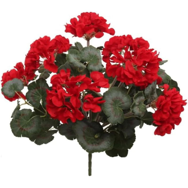 Buisson de géranium naturel rouge 18 po 20lv