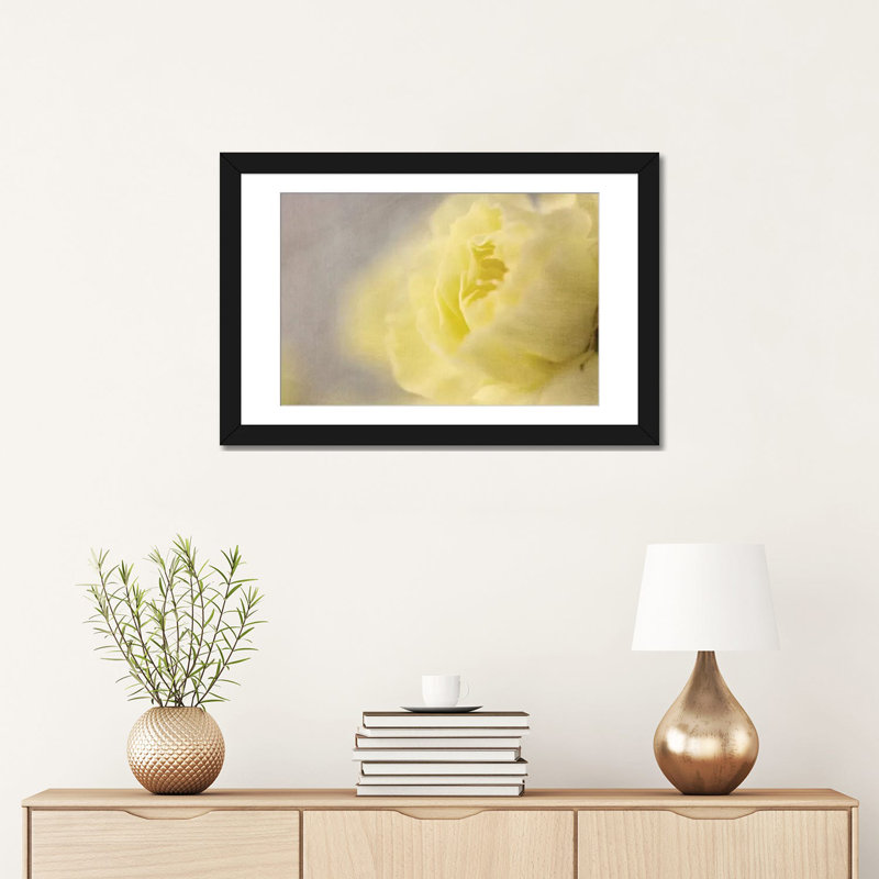 «Rose Whisper II» par Judy Stalus, impression sur toile tendue, H 16 po x l 24 po x P 1 po, Papier d'art encadré noir, Blanc