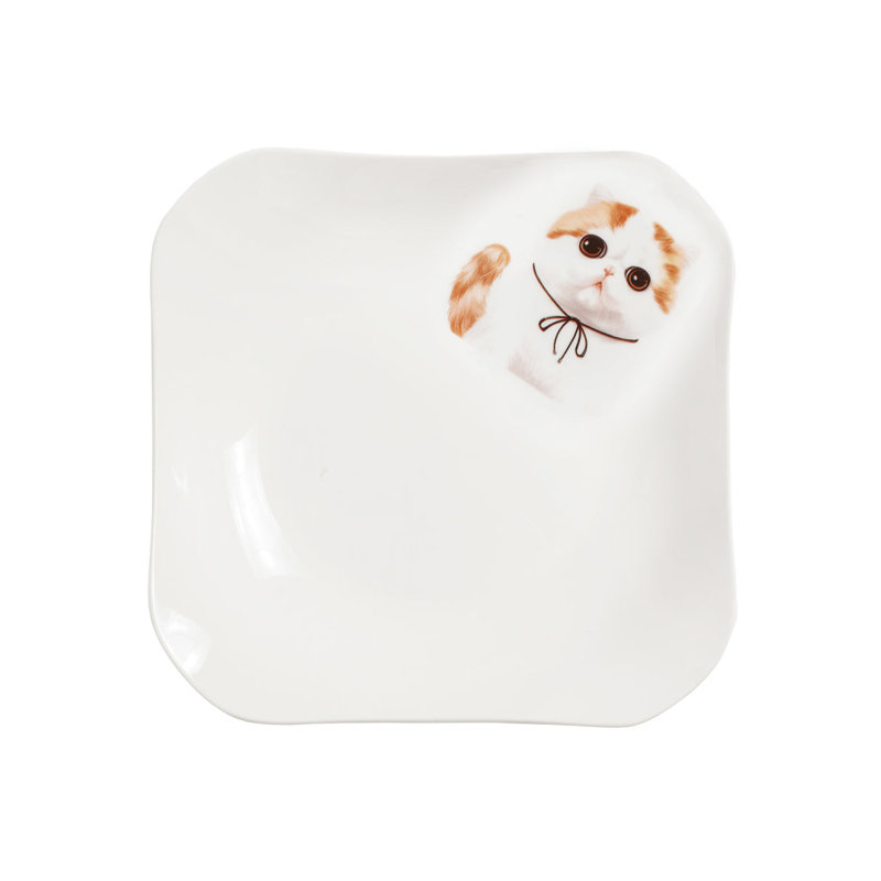 Assiette carrée en porcelaine - Exotic Shorthair