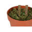 110cm Faux Banana Leaf Plant in Pot