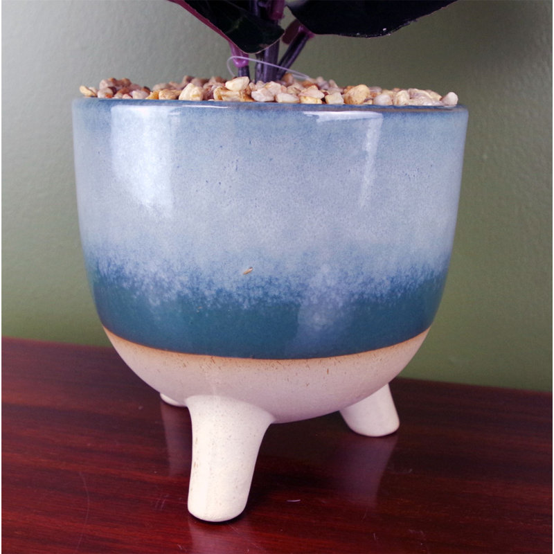 Artificial Ficus Plant in Ceramic Planter