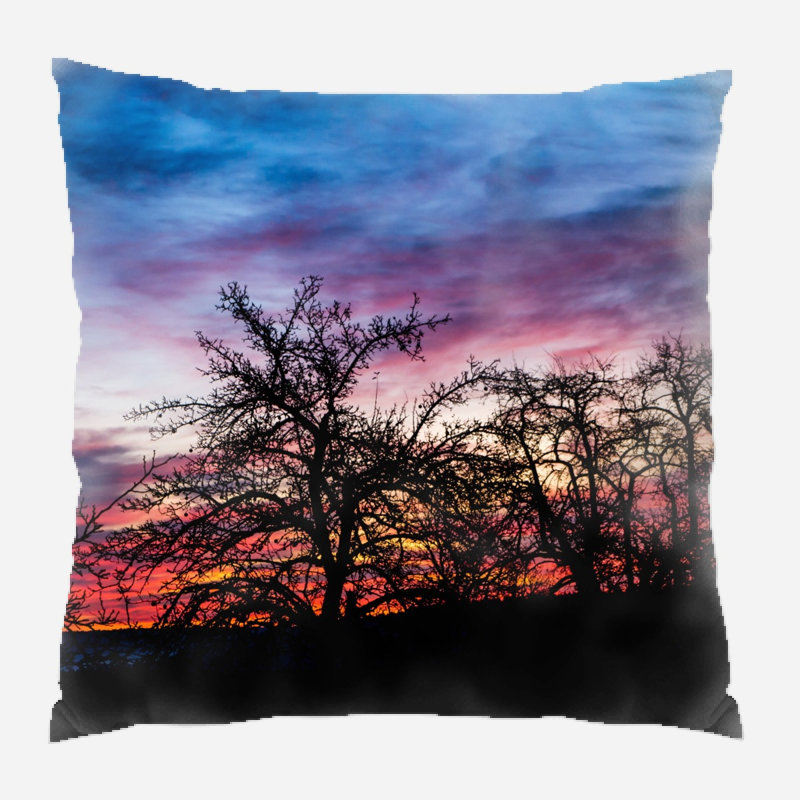 Coussin décoratif Emmylou, Synthétique, Intérieur