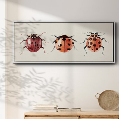 Ladybug Display I- Framed Canvas
