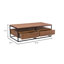 Paulette Solid Wood Frame Coffee Table with Storage