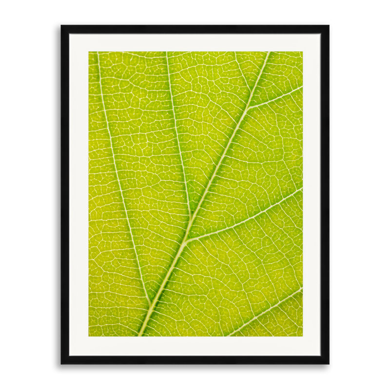 Autumn Leaf Print by Philippe Monthoux, Black Framed Paper, 30" H x 24" W