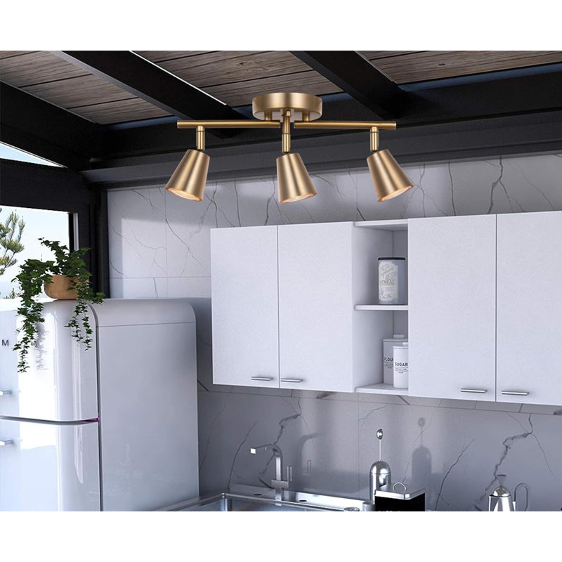 3-Light Adjustable Rotatable Heads Track Lighting Kit