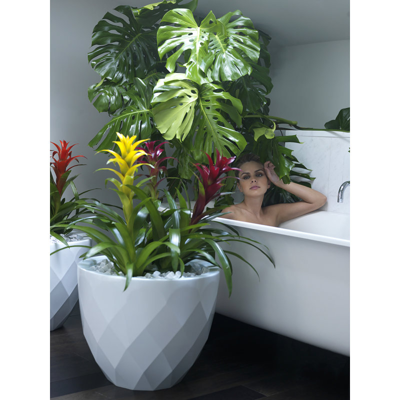 Vases Polyethylene Resin Pot Planter, 17.75" H x 21.75" W x 21.75" D, White