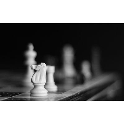 Monochrome Chess Games - Shapes Livingroom Outdoor Rug