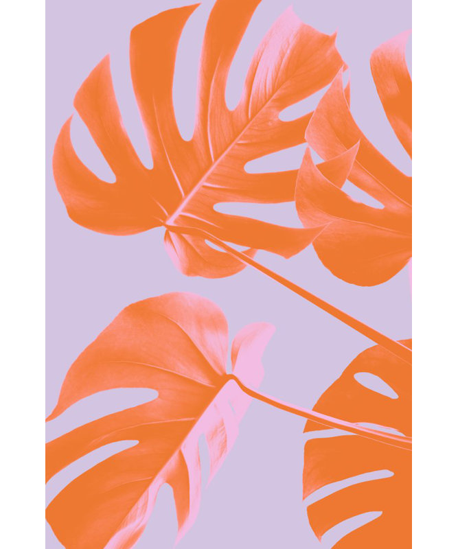 Monstera 04, 76.2 cm H x 50.8 cm W