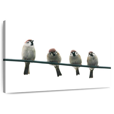 Brampt Friendly Little Birds