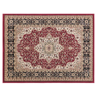 Albers Oriental Area Rug