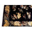 Oriental Area Rug