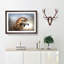 Hawk - Picture Frame Painting Print-56712031-56712032